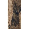 КЕРАМОГРАНИТ  BIJOUX JASPE ROUGE GLO 6MM R  120X280 — изображение 3