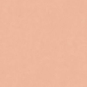 КЕРАМИЧЕСКИЙ ГРАНИТ W&S FL. RAINBOW QUARZO 120X120