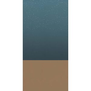 КЕРАМИЧЕСКАЯ ПЛИТКА W&S D+ ARIZONA A 120X240