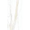 КЕРАМОГРАНИТ I CLASSICI CAL.GOLD 6MM GLOSSY  120X240 — изображение 2