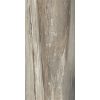 КЕРАМОГРАНИТ ETOILE TROPICAL MAT 6MM 160X320 RET — изображение 4