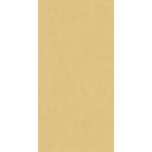 КЕРАМИЧЕСКАЯ ПЛИТКА WIDE&STYLE MINI GINGER RET 60Х120