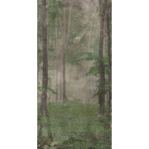 КЕРАМИЧЕСКАЯ ПЛИТКА W&S D+ WOODS B  120X240