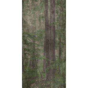 КЕРАМИЧЕСКАЯ ПЛИТКА W&S D+ WOODS C   120X240