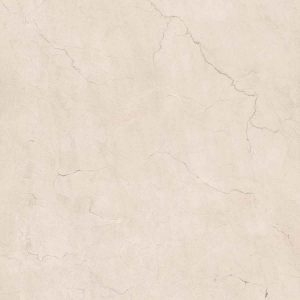 КЕРАМИЧЕСКАЯ ПЛИТКА SPR.MEMOR. ROSA PERL. ANT R120X120