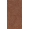 КЕРАМОГРАНИТ SENSI TERRE GRANA AMARANTO LITH 60X120 6MM — изображение 2