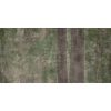 КЕРАМИЧЕСКАЯ ПЛИТКА W&S D CP4 WOODS C 120X240