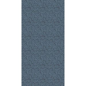 КЕРАМИЧЕСКАЯ ПЛИТКА  W&S D STICKS BLUE  120X240