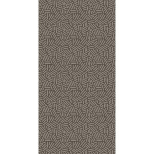 КЕРАМИЧЕСКАЯ ПЛИТКА W&S D STICKS SMOKE  120X240