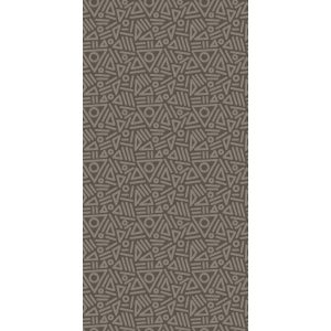 КЕРАМИЧЕСКАЯ ПЛИТКА W&S D TRIBE SMOKE 120X240