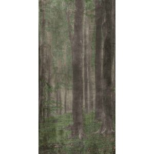 КЕРАМИЧЕСКАЯ ПЛИТКА W&S D WOODS A 120X240