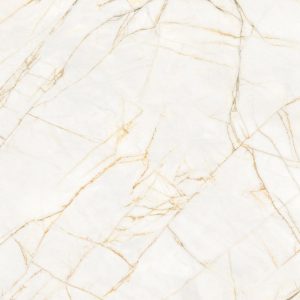 КЕРАМИЧЕСКАЯ ПЛИТКА  SUPREME HEDONISM  GOLD SPID. LU3 R 120X120