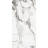 КЕРАМОГРАНИТ LES ORIGINES DE REX  ARGENT GLOSSY 60X120
