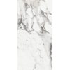 КЕРАМОГРАНИТ LES ORIGINES DE REX  ARGENT GLOSSY 60X120 — изображение 2