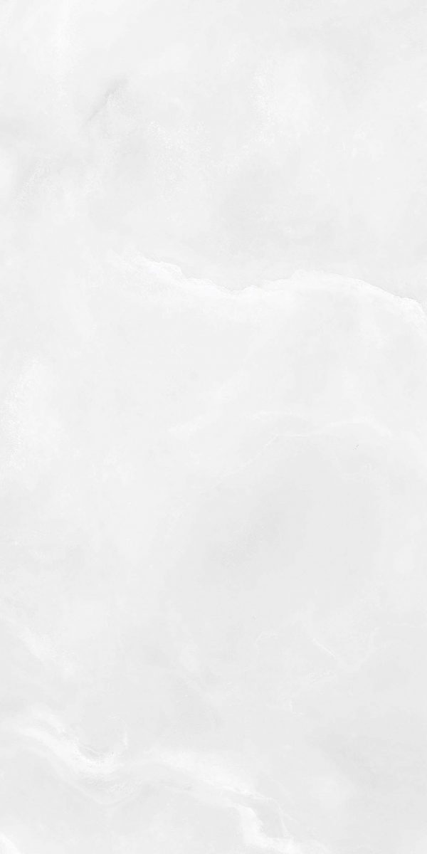КЕРАМОГРАНИТ REALISTIK ALBERTA WHITE POLISHED 60X120 — изображение 8