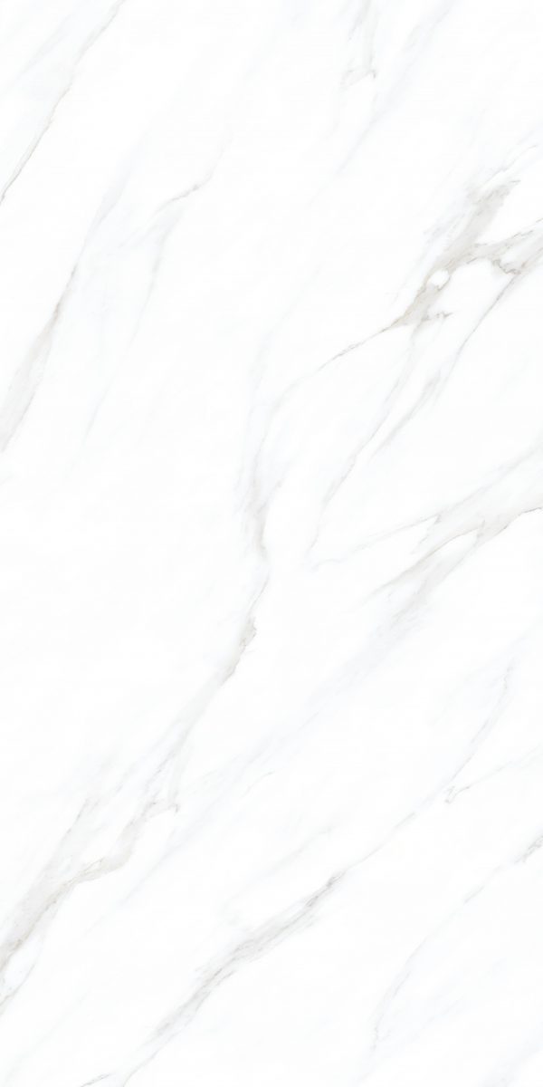 КЕРАМОГРАНИТ REALISTIK ANTIC WHITE POLISHED 60X120 — изображение 4