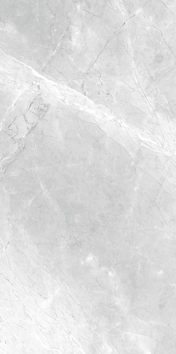 КЕРАМОГРАНИТ REALISTIK ASTI GREY CARVING 60X120 — изображение 2