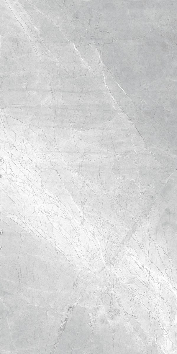 КЕРАМОГРАНИТ REALISTIK ASTI GREY CARVING 60X120 — изображение 3