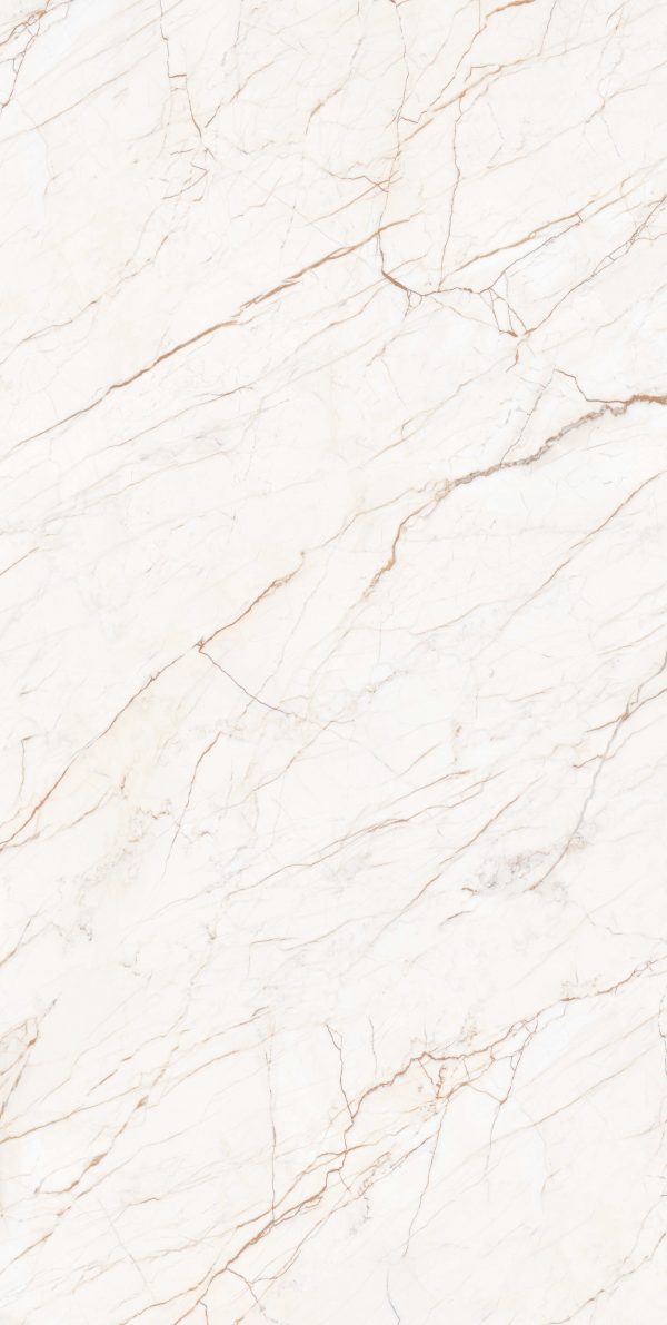 КЕРАМОГРАНИТ REALISTIK ASTRA MATT CARVING 60X120 — изображение 7