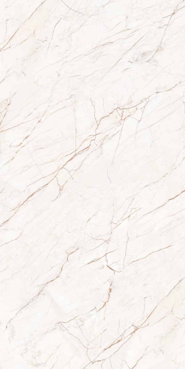 КЕРАМОГРАНИТ REALISTIK ASTRA MATT CARVING 60X120 — изображение 6