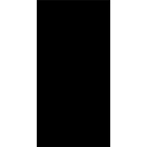 КЕРАМИЧЕСКАЯ ПЛИТКА ABSOLUTE BLACK LAPP/RETT	120X240