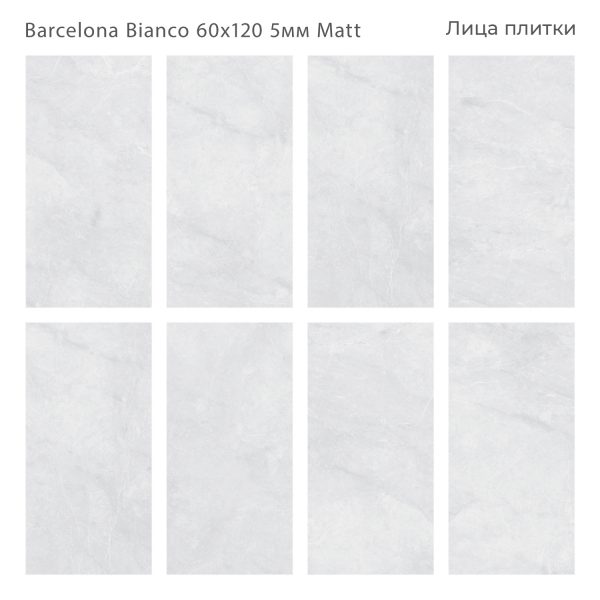 КЕРАМОГРАНИТ МАТОВЫЙ MARBLES BARCELONA BIANCO 60X120 5ММ MATT — изображение 3