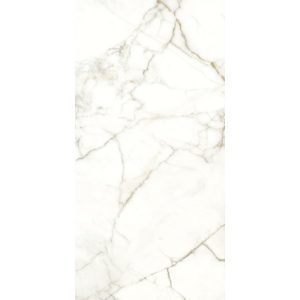 КЕРАМОГРАНИТ RHAPSODY EMOTION LEV RET 60X120