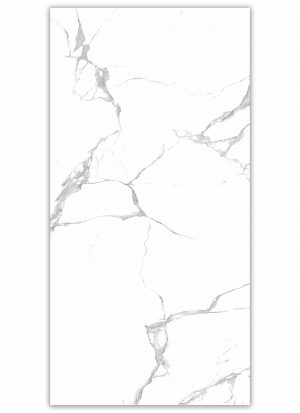 КЕРАМОГРАНИТ REALISTIK EMMY WHITE POLISHED 60X120