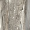 КЕРАМОГРАНИТ ETOILE TROPICAL GLOSSY 60X60 RET — изображение 3