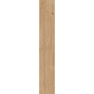 КЕРАМОГРАНИТ 4 SEASONS  HONEY         NAT R20X120