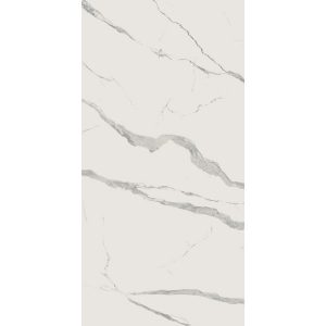 КЕРАМИЧЕСКАЯ ПЛИТКА SENSI STAT.AP.ENDL.MATCH B 	120X240