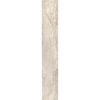 КЕРАМИЧЕСКАЯ ПЛИТКА ALMOND LAPP.RETT. 	20X120