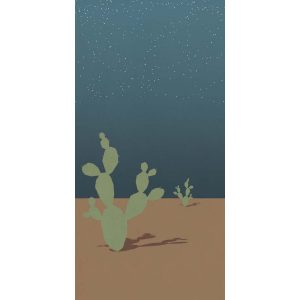 КЕРАМИЧЕСКАЯ ПЛИТКА W&S D ARIZONA B 120X240