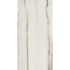 КЕРАМОГРАНИТ PREXIOUS REX WHITE FANTASY MAT 10MM 60X120 R