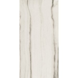 КЕРАМОГРАНИТ PREXIOUS REX WHITE FANTASY MAT 10MM 60X120 R