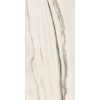 КЕРАМОГРАНИТ PREXIOUS REX WHITE FANTASY MAT 10MM 60X120 R — изображение 2