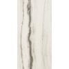 КЕРАМОГРАНИТ PREXIOUS REX WHITE FANTASY MAT 10MM 60X120 R — изображение 4