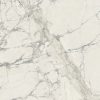 КЕРАМОГРАНИТ PREXIOUS REX MOUNTAIN TREASURE GLO 10MM 80X80R