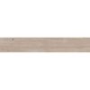 КЕРАМОГРАНИТ 4 SEASONS  INDUS.HON.    NAT R20X120 — изображение 5