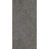 КЕРАМОГРАНИТ NATIVE FOREST LAP RET  60X120 — изображение 2