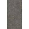 КЕРАМОГРАНИТ NATIVE FOREST LAP RET  60X120 — изображение 4