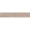 КЕРАМОГРАНИТ 4 SEASONS  BISCUIT       NAT R20X120 — изображение 3
