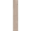 КЕРАМОГРАНИТ 4 SEASONS  BISCUIT       NAT R20X120