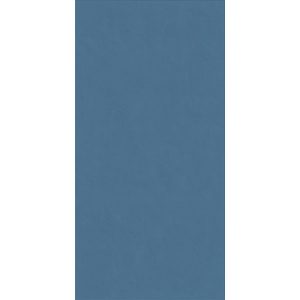КЕРАМИЧЕСКАЯ ПЛИТКА WIDE&STYLE MINI WHALE RET 60Х120