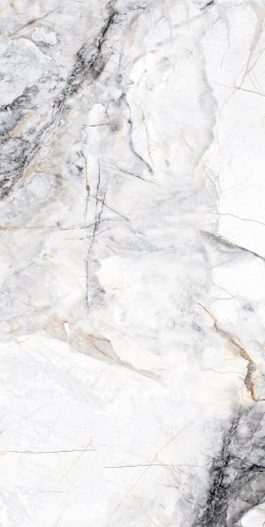 КЕРАМОГРАНИТ REALISTIK CLEO WHITE STONELO CARVING 60X120
