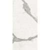 КЕРАМОГРАНИТ SENSI UP STAT.VERSILIA RET 60X120 — изображение 5