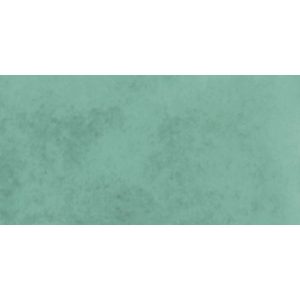 КЕРАМОГРАНИТ PTR.COLORS SAGE 7,5X15