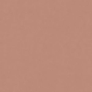 КЕРАМИЧЕСКИЙ ГРАНИТ  W&S FL. RAINBOW PHARD 120X120