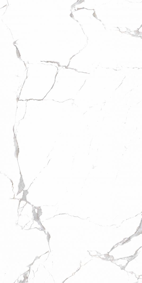 КЕРАМОГРАНИТ REALISTIK EMMY WHITE POLISHED 60X120 — изображение 4
