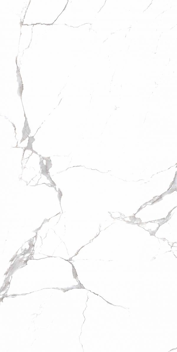 КЕРАМОГРАНИТ REALISTIK EMMY WHITE POLISHED 60X120 — изображение 3